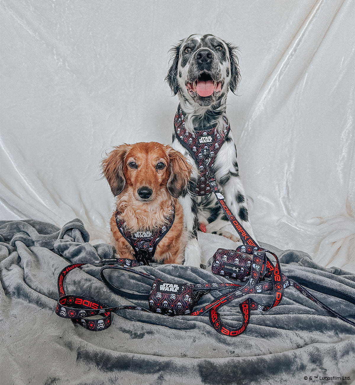Dog Waste Bag Holder - STAR WARS™ The Dark Side