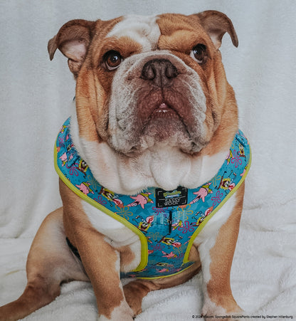 Dog Adjustable Harness - SpongeBob SquarePants™ Jelly Fishin'