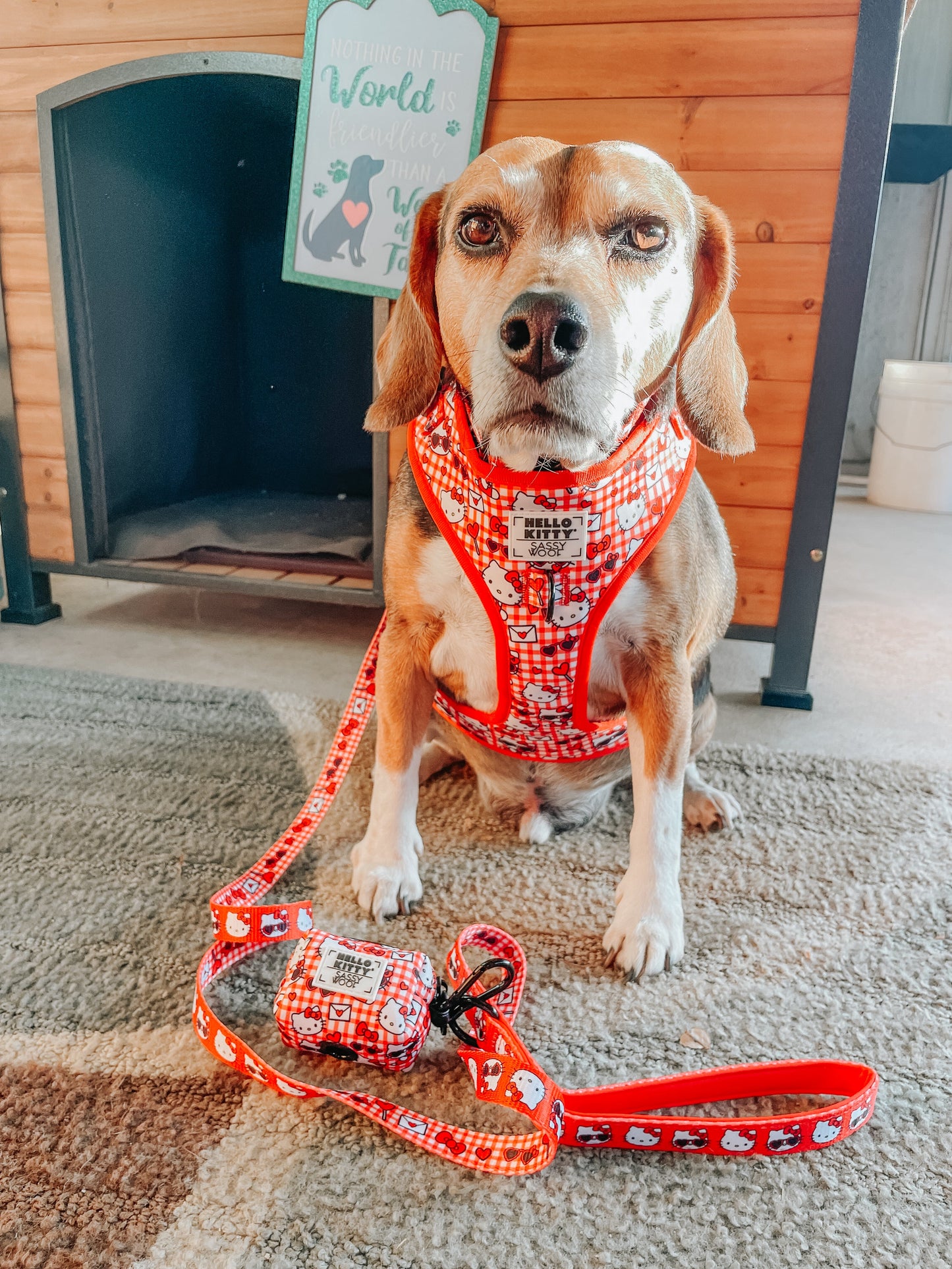 Dog Four Piece Bundle - Hello Kitty® Red Classic
