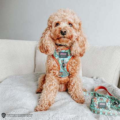 Collar Tag - Scooby-Doo™