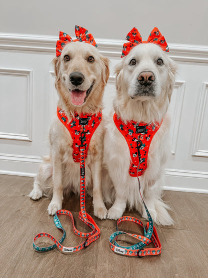 Harness Three Piece Bundle - Disney Holiday Collection
