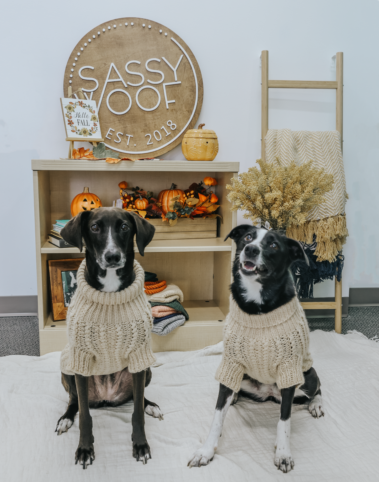 Pet Cable Knit Sweater - Beige