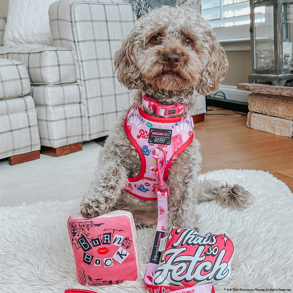 Dog Two Piece Bundle - Mean Girls™