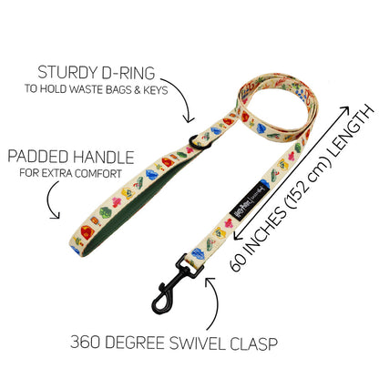 Harness Three Piece Bundle - Harry Potter™ Herbology