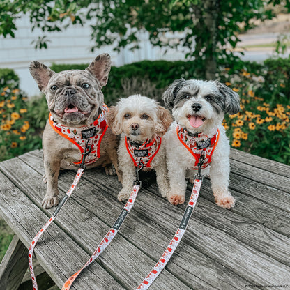 Dog Four Piece Bundle - Peanuts™ Harvest