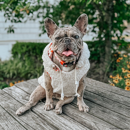 Dog Reversible Sherpa Jacket - Peanuts™ Harvest
