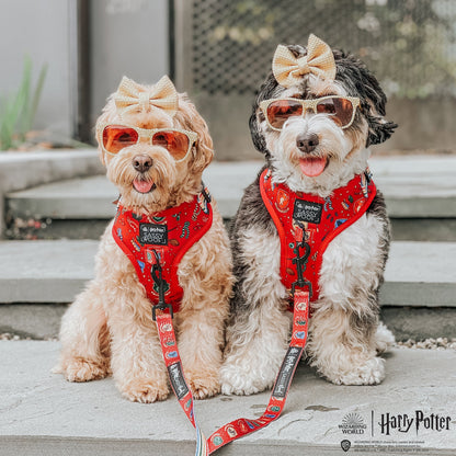 Dog Two Piece Bundle -  Harry Potter™