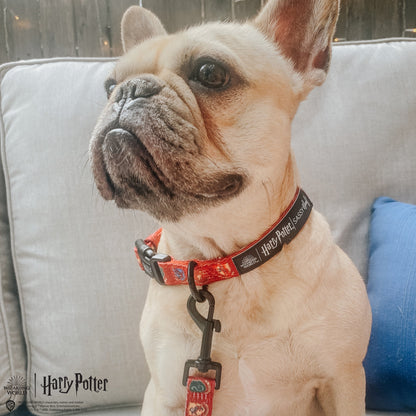 Dog Collar - Harry Potter™