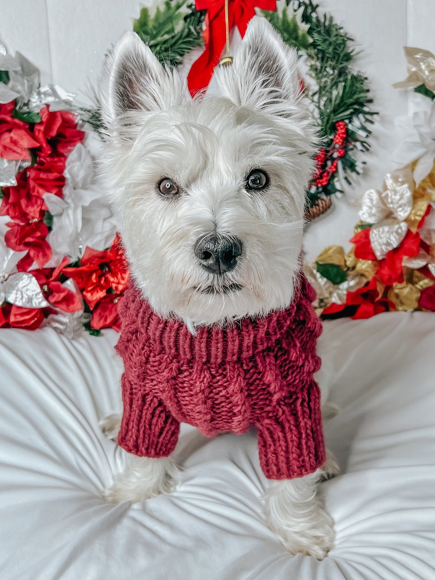 Pet Cable Knit Sweater - Red
