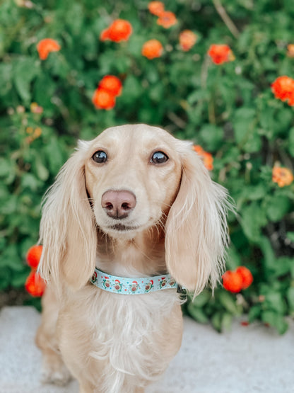 Dog Collar - Jingle Bell Guac