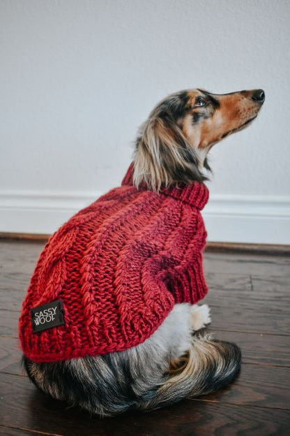 Pet Cable Knit Sweater - Red