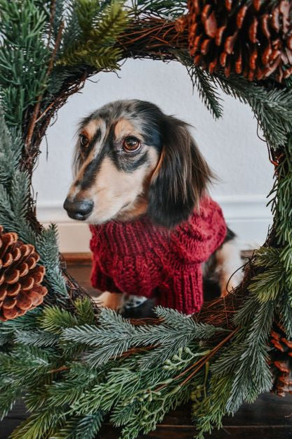 Pet Cable Knit Sweater - Red