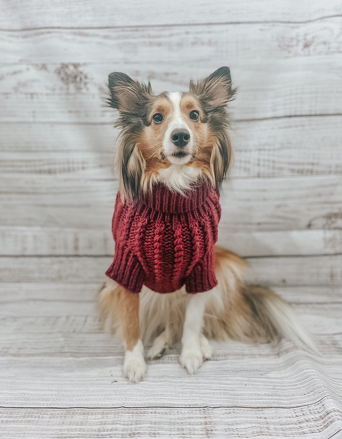 Pet Cable Knit Sweater - Red