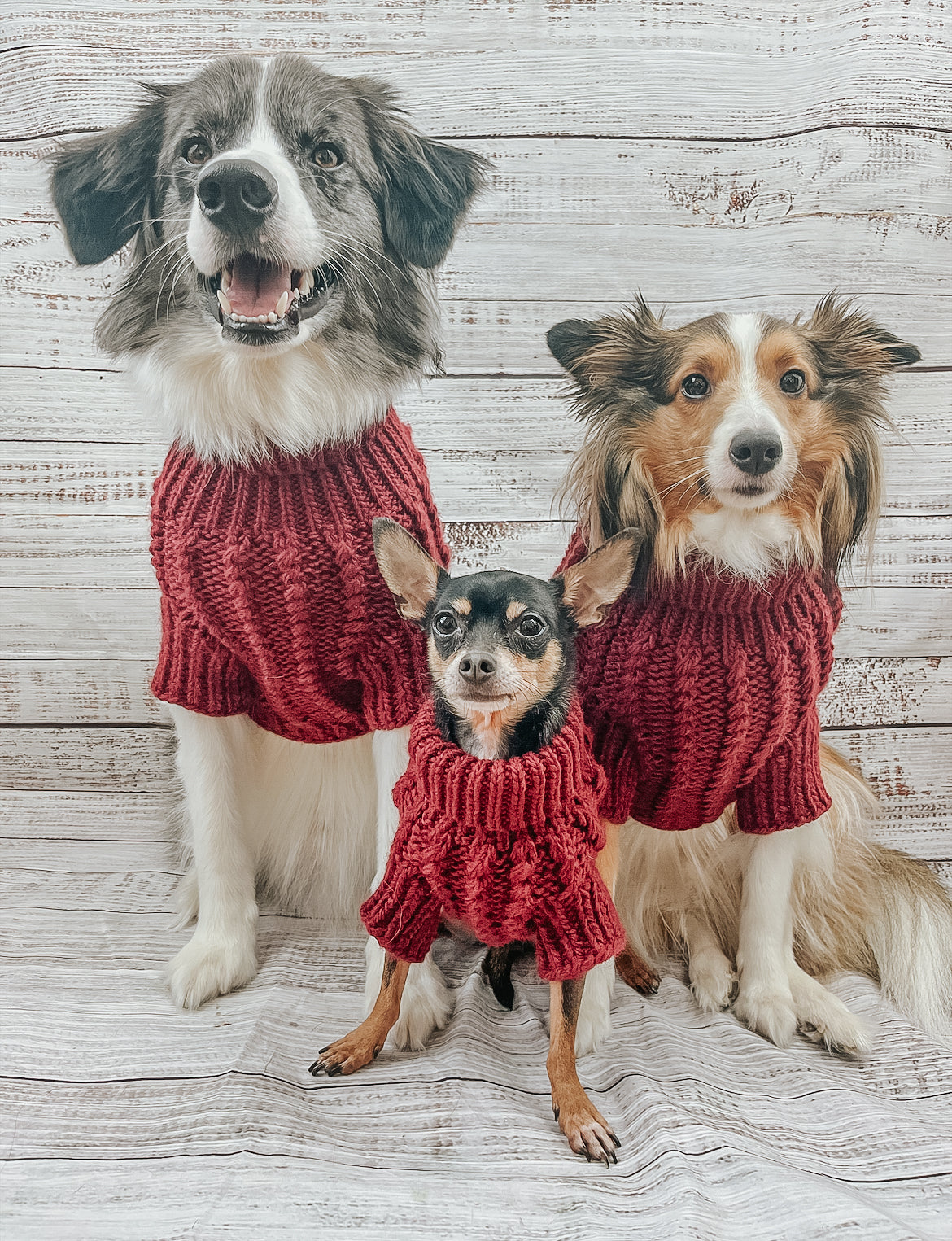 Pet Cable Knit Sweater - Red