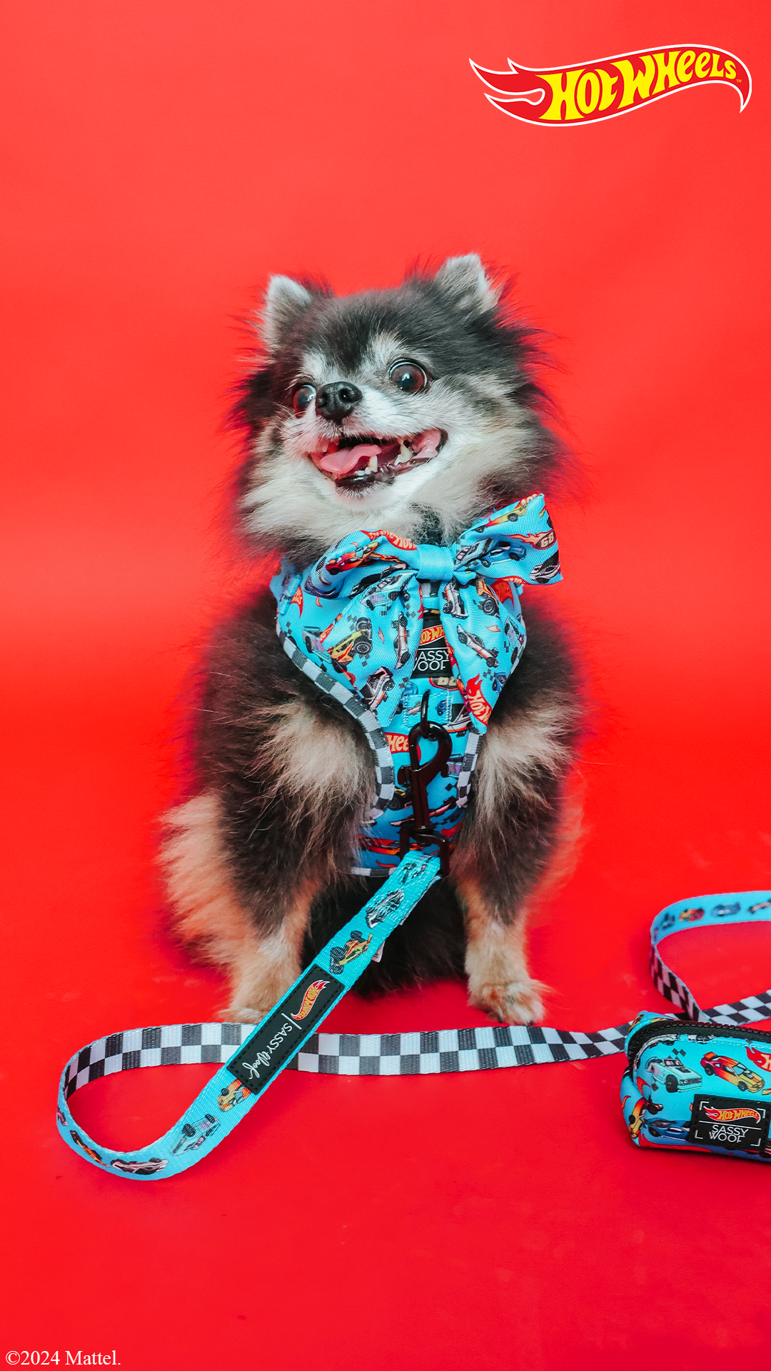 Dog Sailor Bow - Hot Wheels™