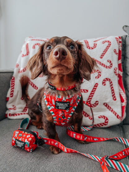 Dog Two Piece Bundle - Peanuts™ Beagle Bells