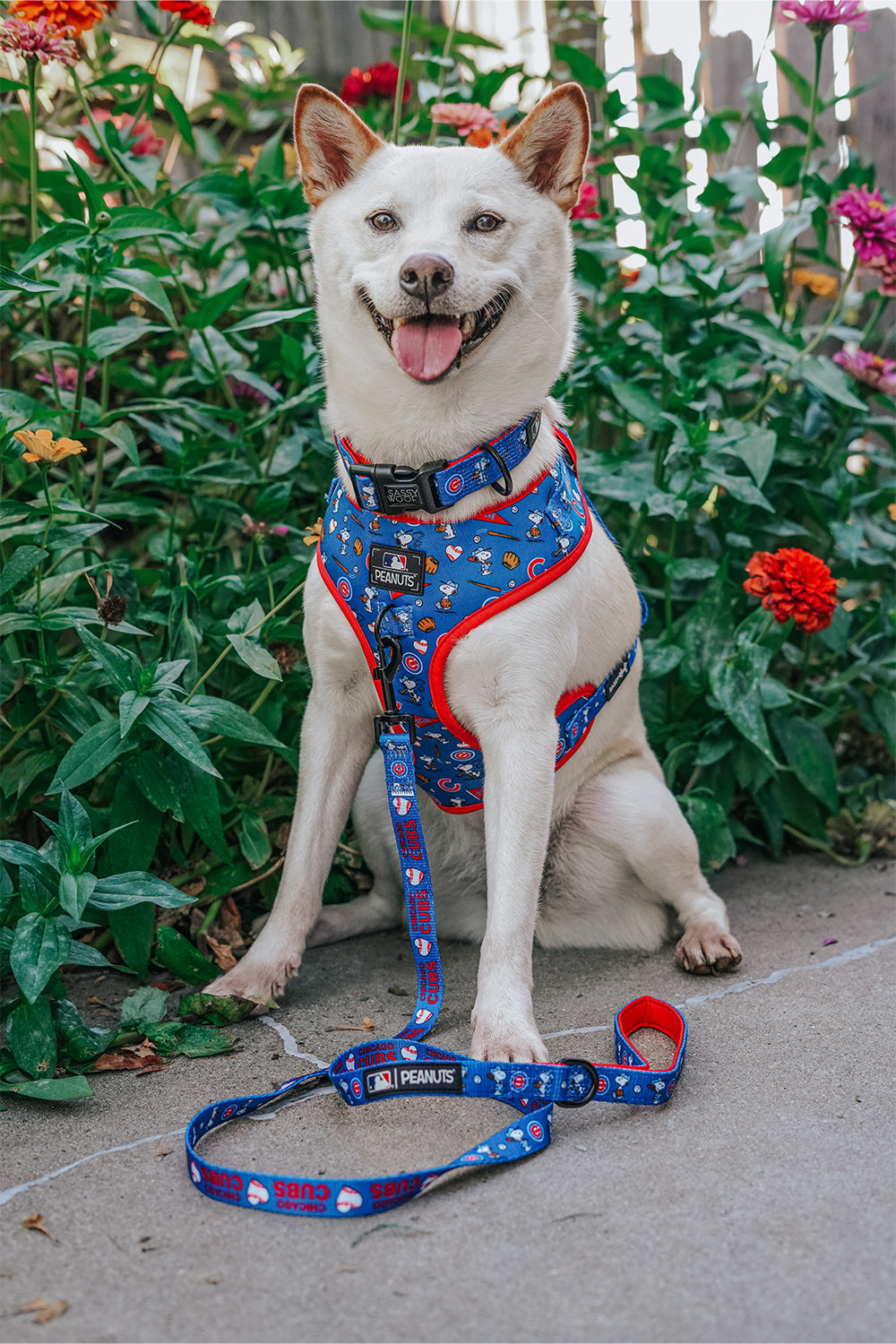Harness Three Piece Bundle - MLB™ x Peanuts™ Chicago Cubs™