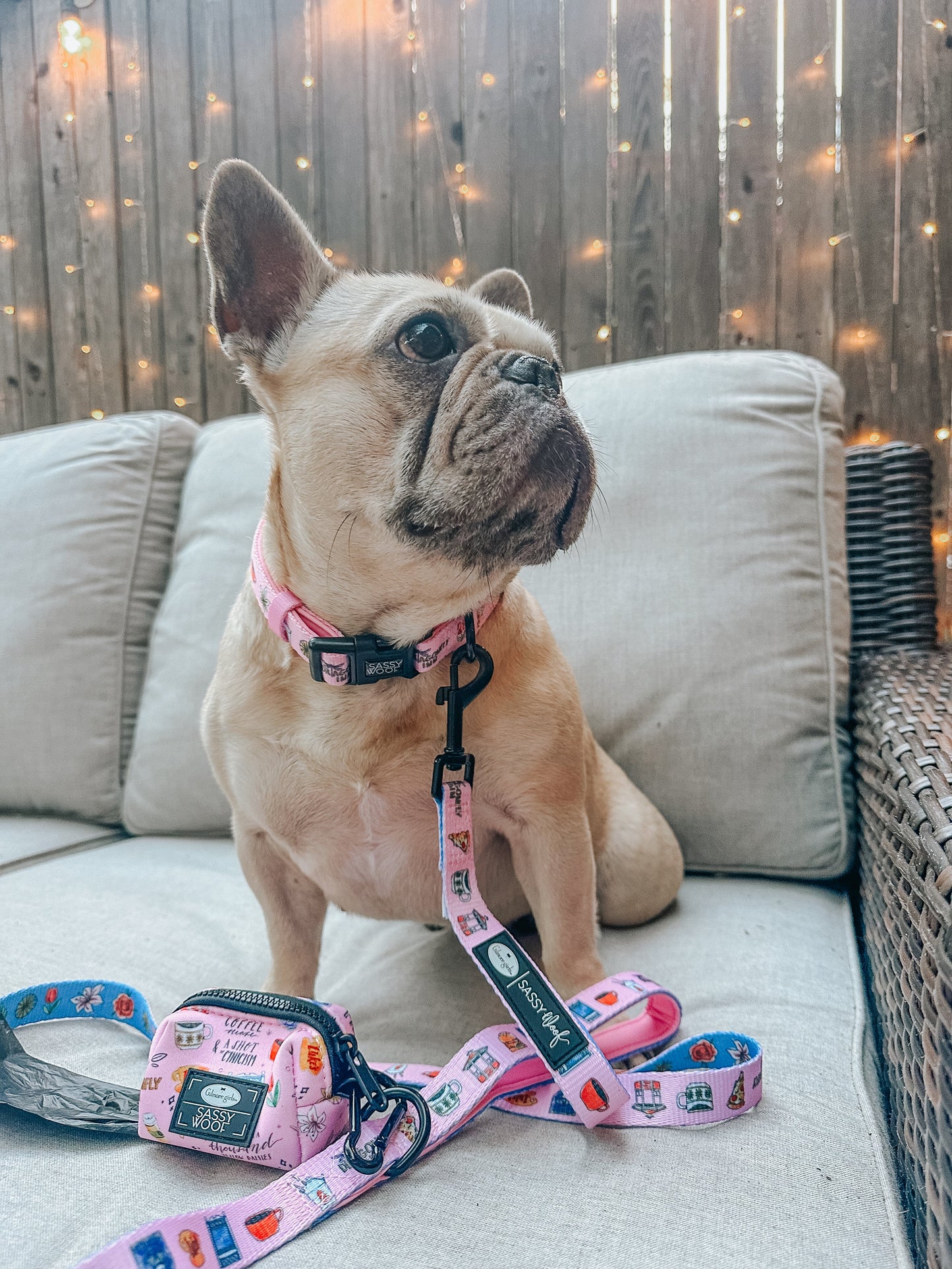 Dog Collar - Gilmore Girls™