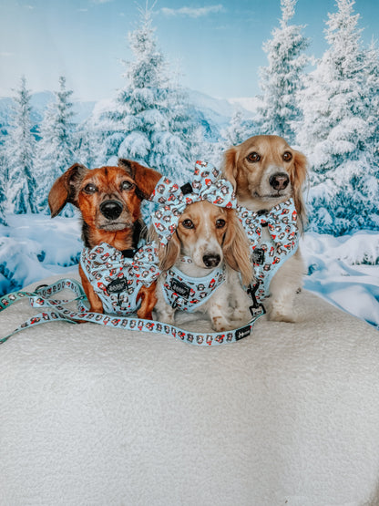 Dog Collar - Winter Waddleland