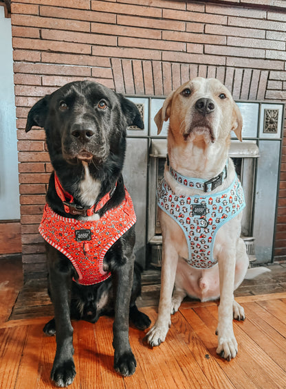 Dog Collar - Puppermint Twist