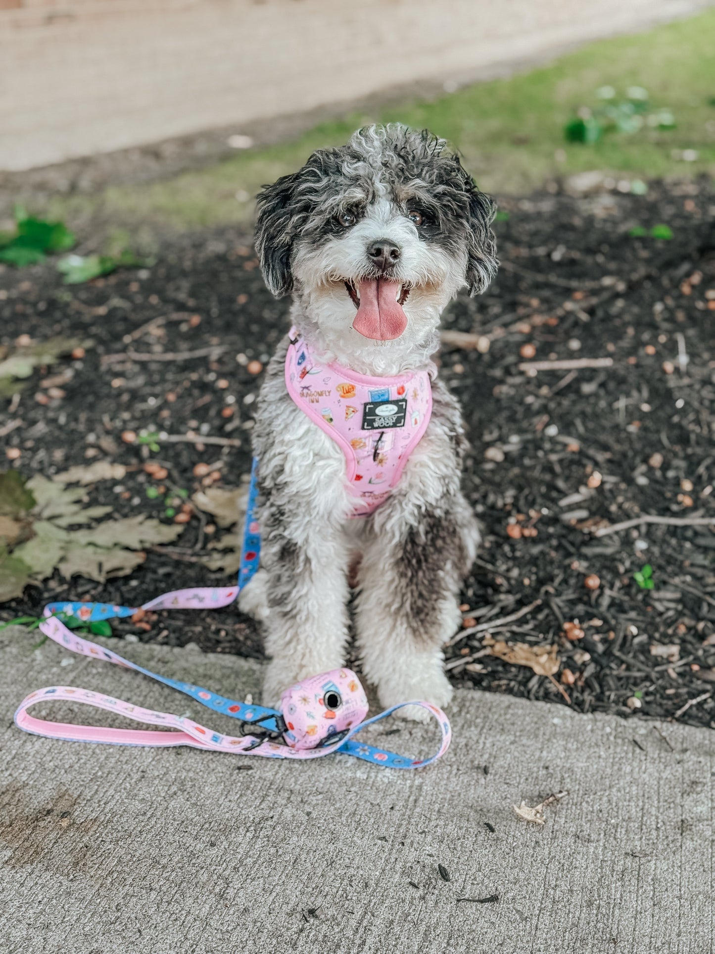 Dog Adjustable Harness - Gilmore Girls™