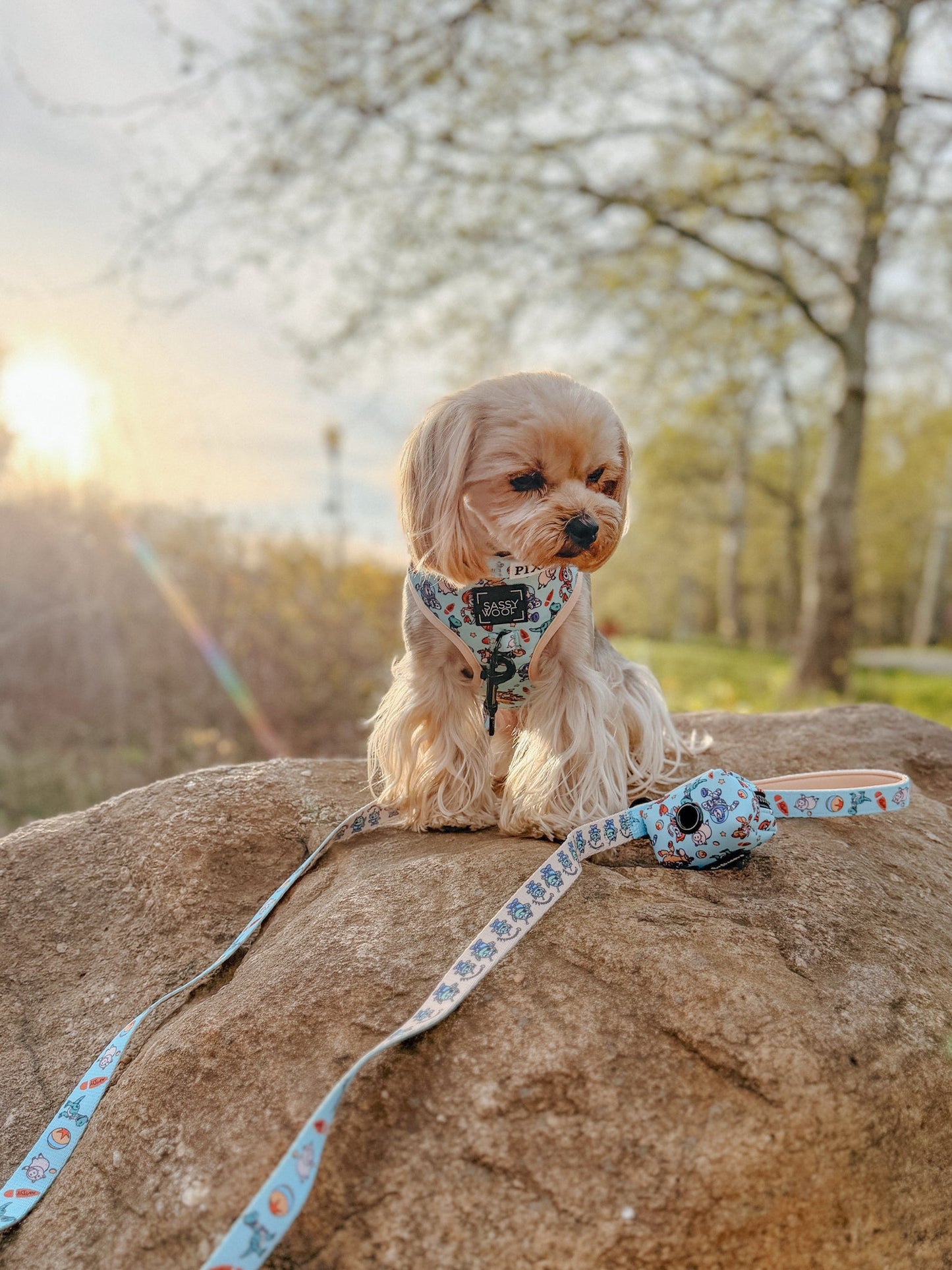 Dog Waste Bag Holder - Disney and Pixar's Toy Story