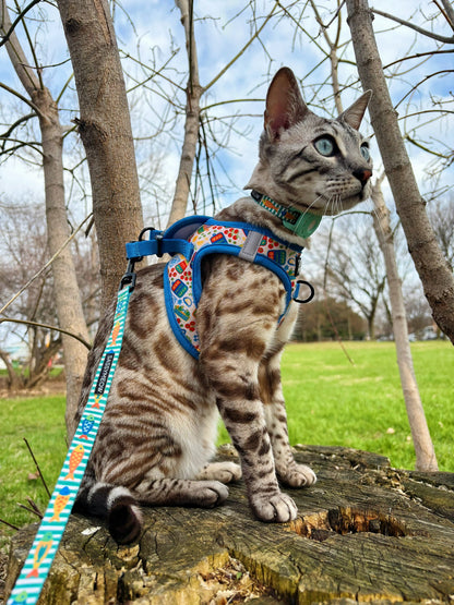 Cat Leash - Portofino