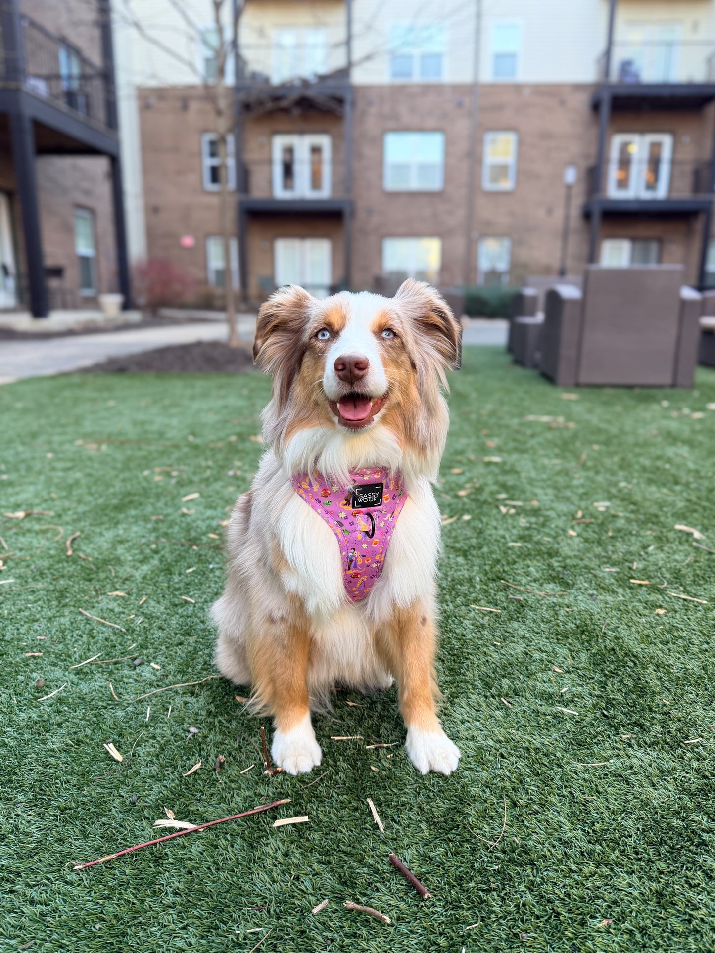 Dog Adjustable Harness - Disney's Rapunzel