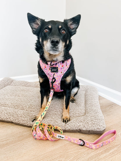 Dog Leash - Disney's Rapunzel