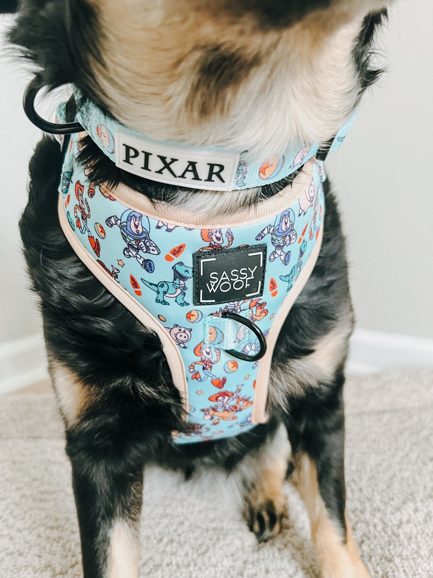 Dog Adjustable Harness - Disney and Pixar's Toy Story