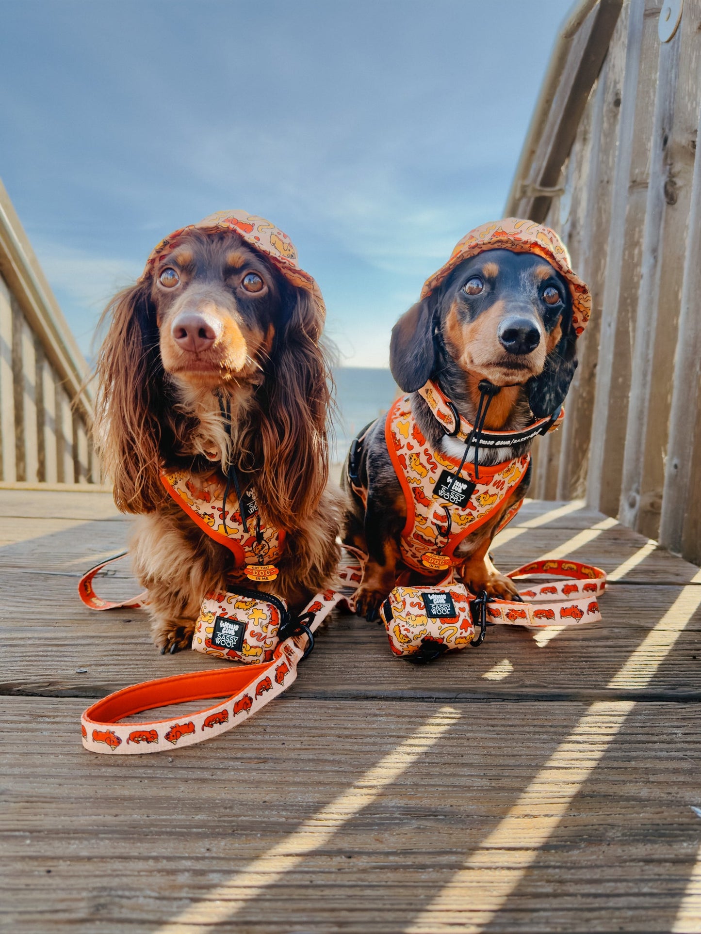Dog Leash - Hot Dawg