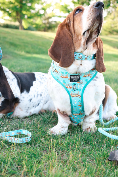 Dog Collar - Peanuts™ Road Tripping