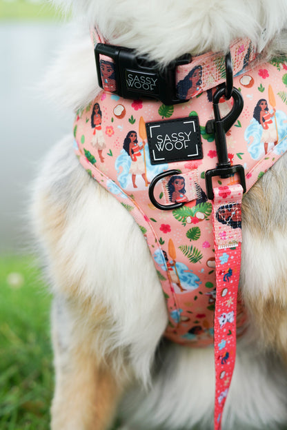 Dog Leash - Disney's Moana