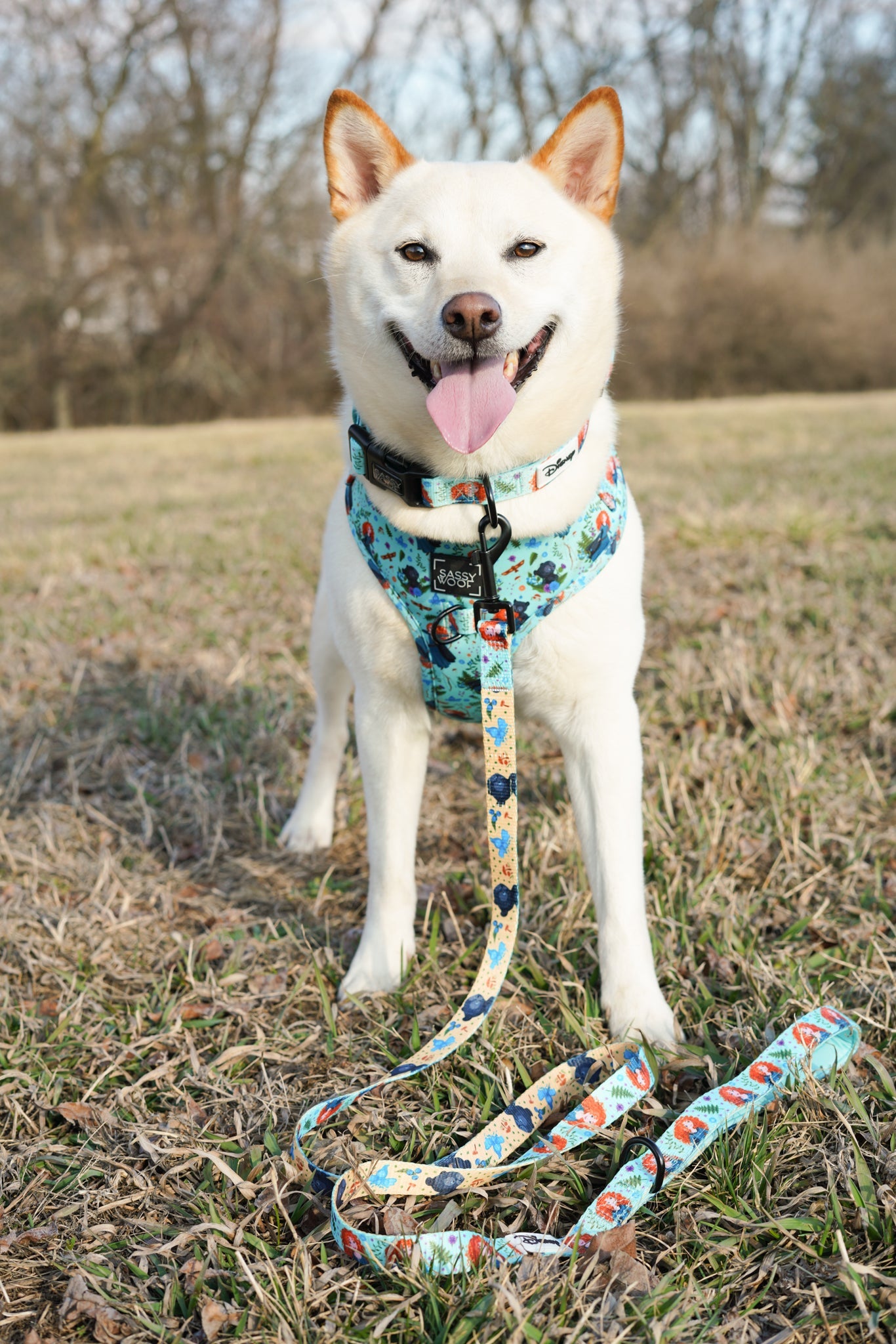 Dog Two Piece Bundle - Disney's Merida