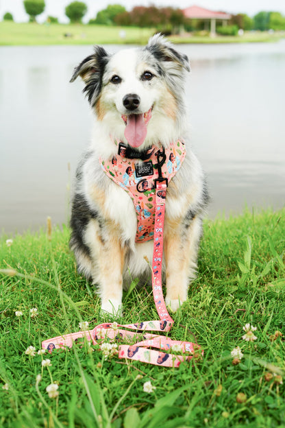 Dog Leash - Disney's Moana