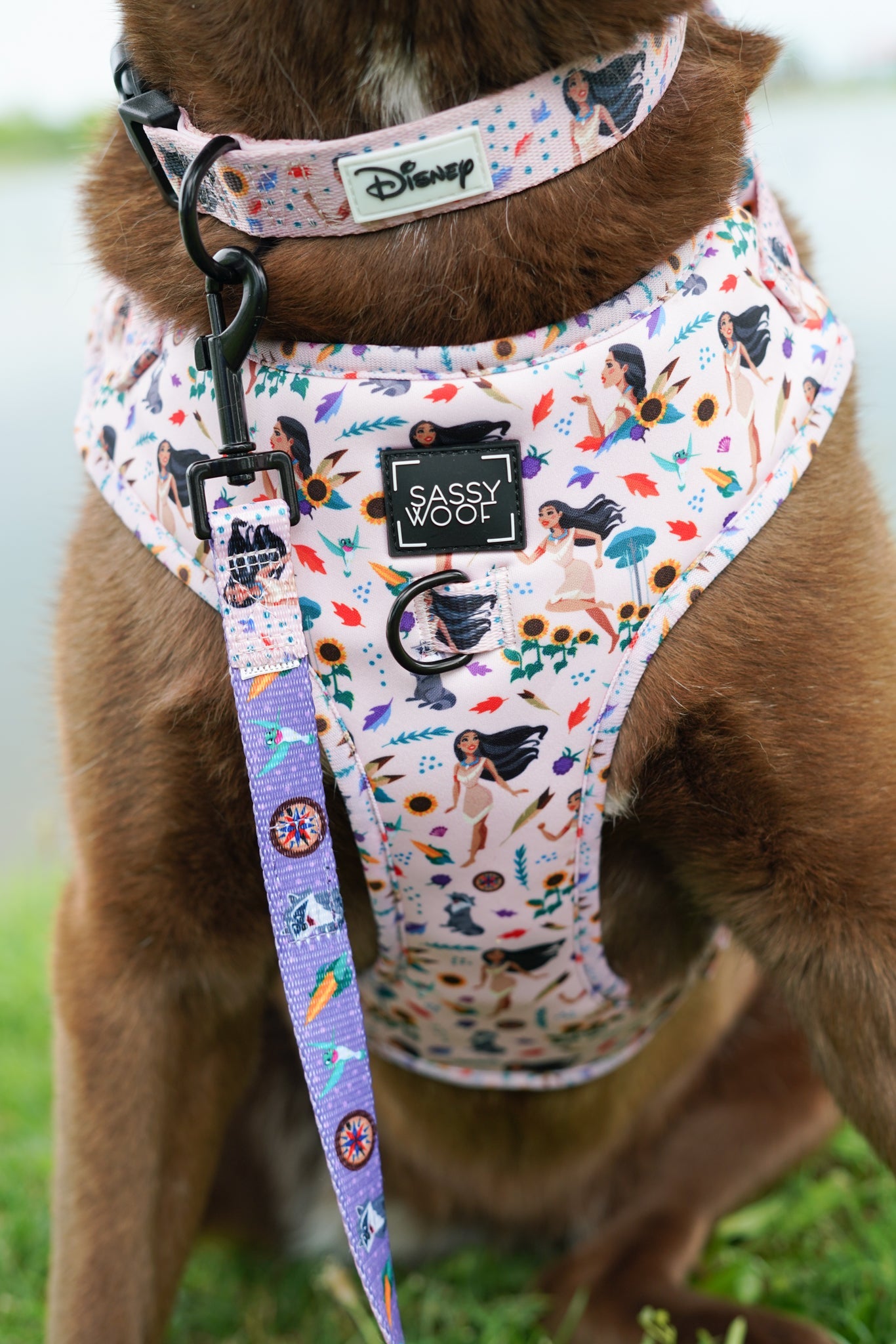 Harness Three Piece Bundle - Disney's Pocahontas