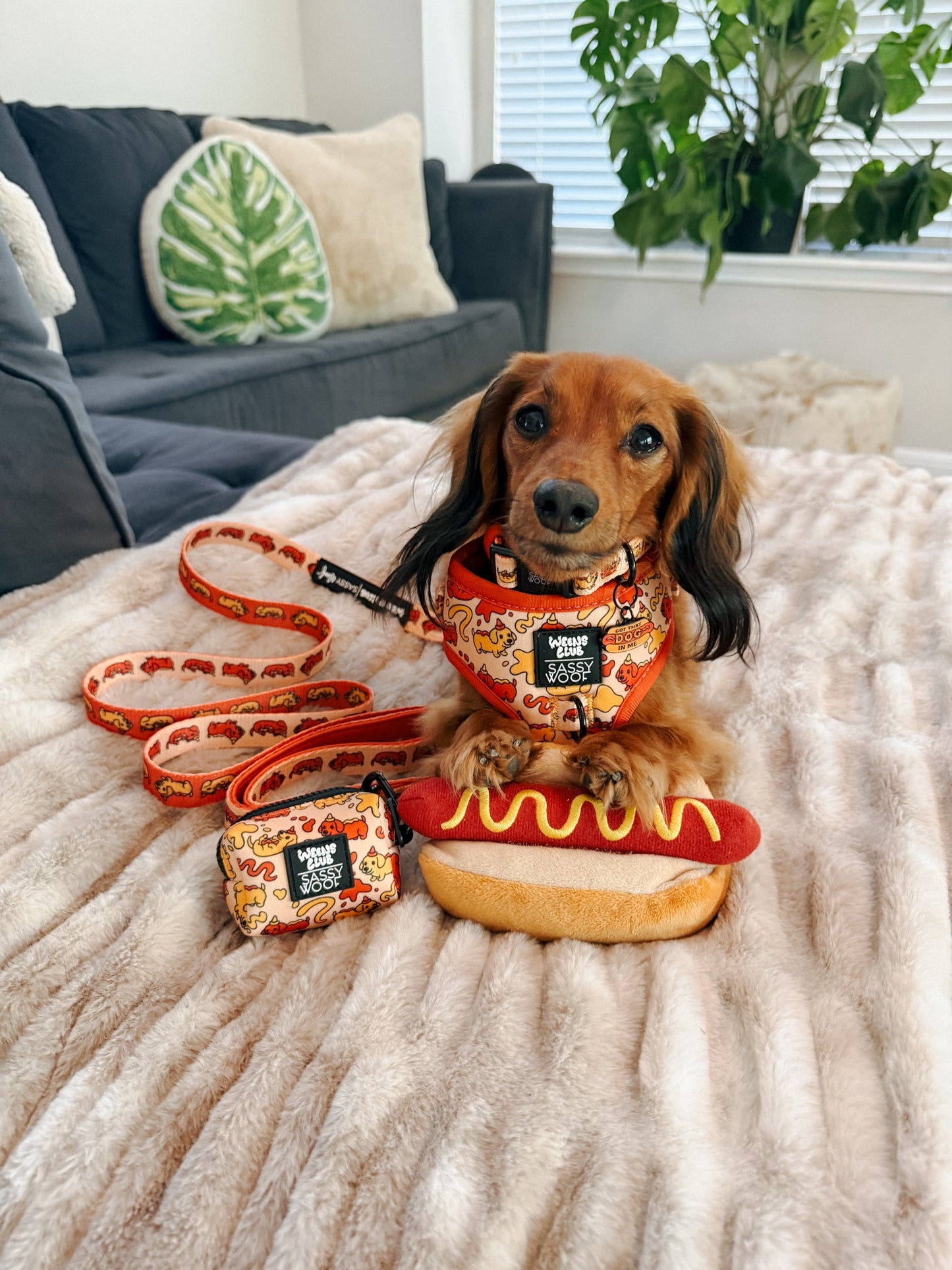 Dog Leash - Hot Dawg