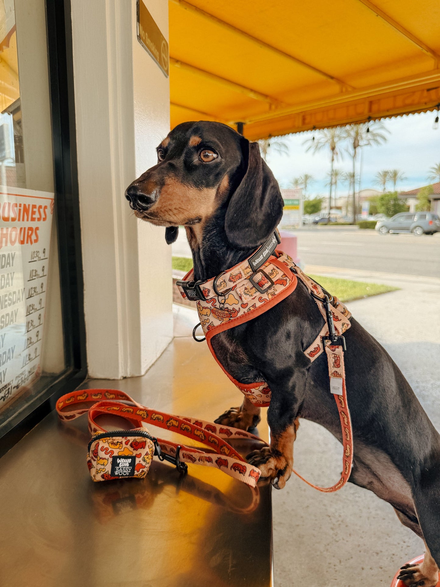Dog Leash - Hot Dawg