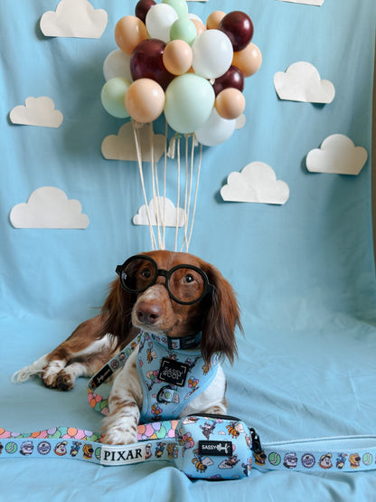 Dog Leash - Disney and Pixar's Up