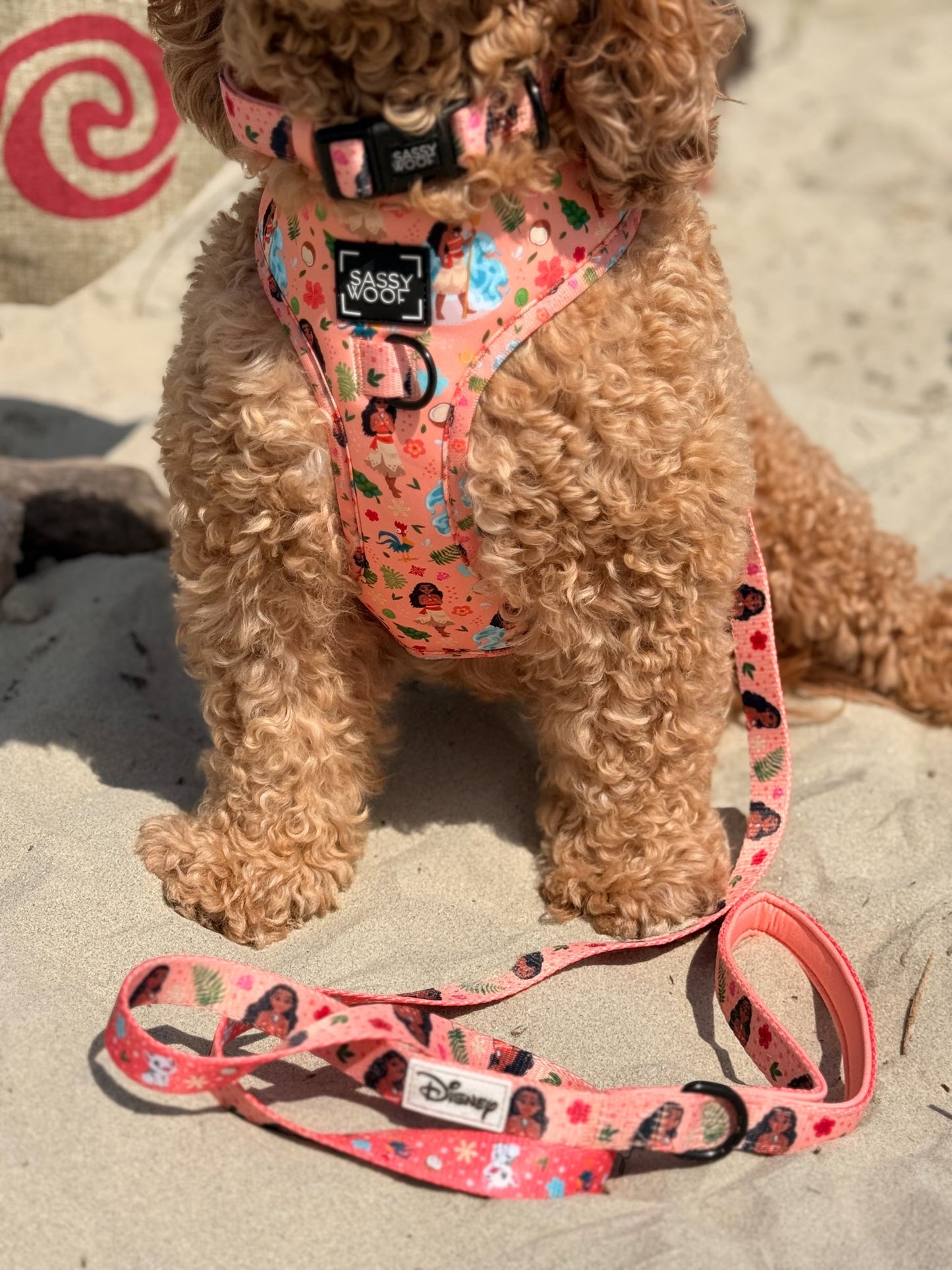 Harness Three Piece Bundle - Disney's Moana