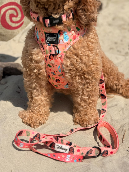 Dog Leash - Disney's Moana