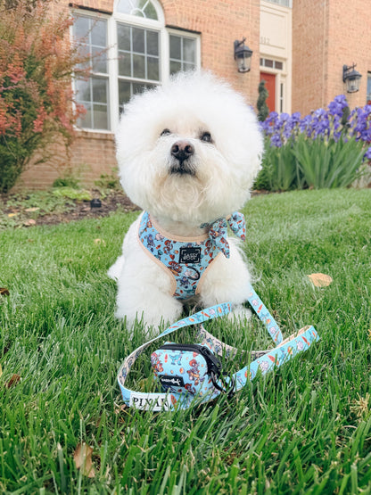 Dog Adjustable Harness - Disney and Pixar's Toy Story