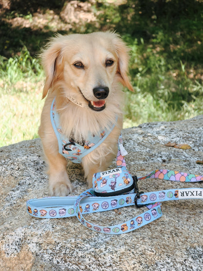 Dog Leash - Disney and Pixar's Up