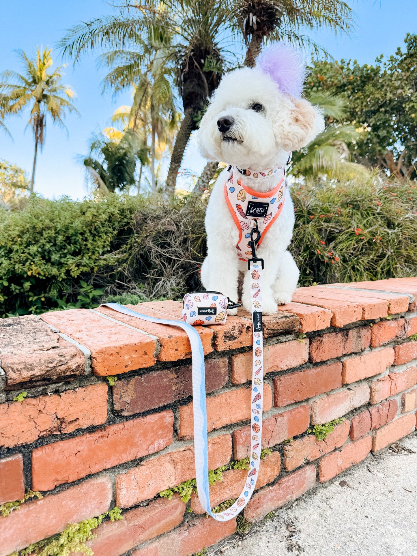 Dog Adjustable Harness - Shell Yeah