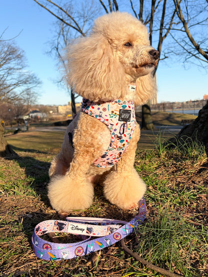 Dog Leash - Disney's Pocahontas