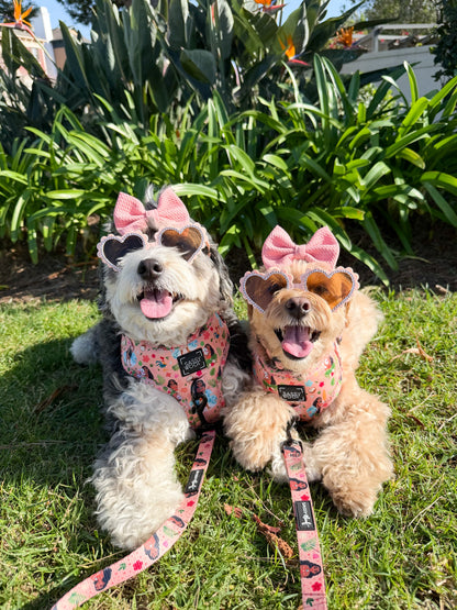 Harness Three Piece Bundle - Disney's Moana