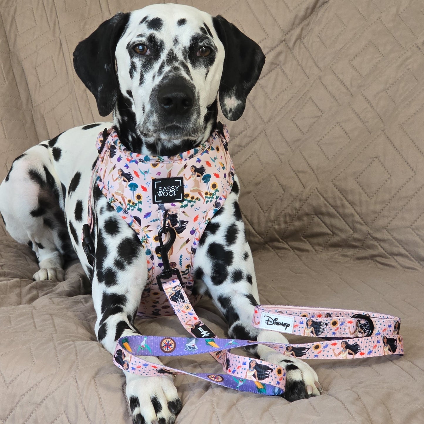 Dog Leash - Disney's Pocahontas