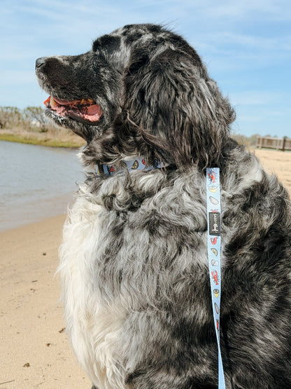 Dog Three Piece Bundle - Coastal Cuties