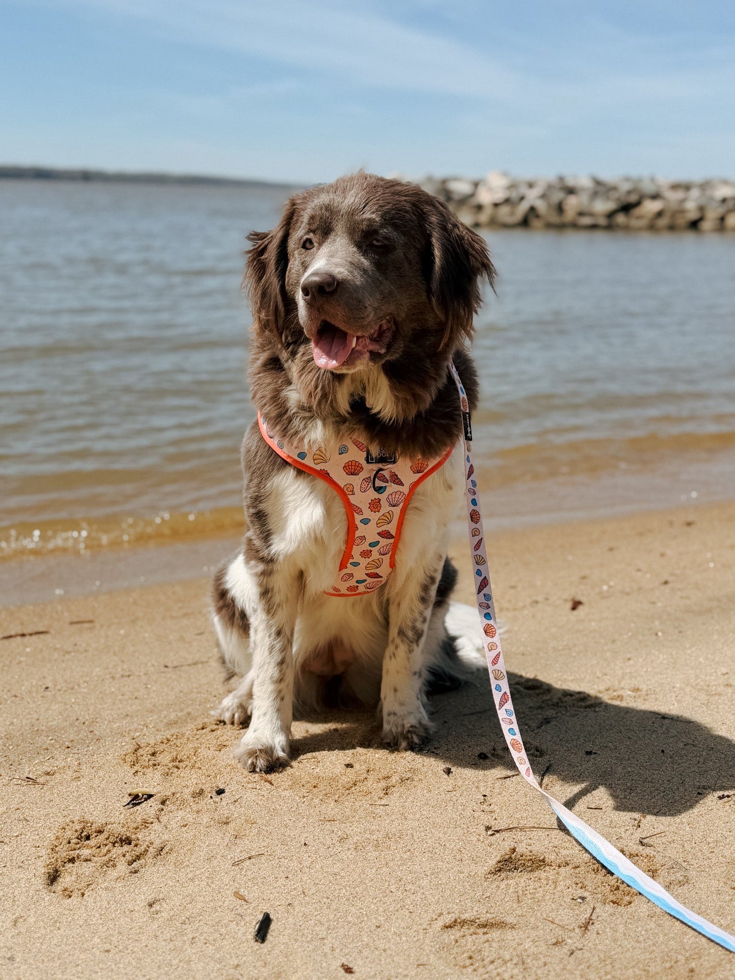 Dog Adjustable Harness - Shell Yeah