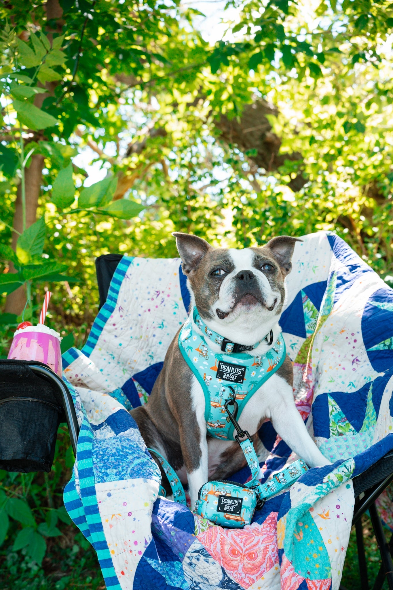 Dog Adjustable Harness - Peanuts™ Road Tripping